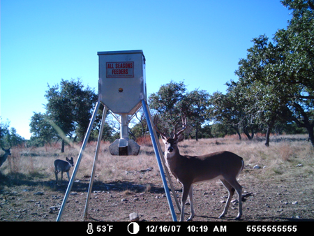 Young Trophy